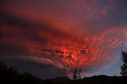 pleoros:   Puyehue y Cordón Caulle 