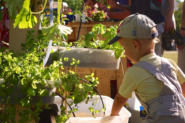 can plants grow without soil ? interesting science facts
