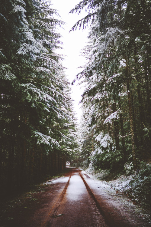 brianstowell:You didn’t think Winter was over, did you? Yesterday in Umpqua National Forest, Oregon