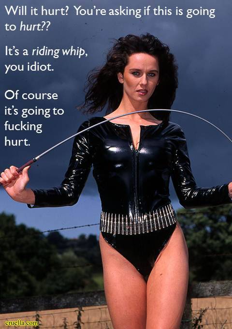 Will it hurt? You`re asking if this is going to hurt? It`s a riding whip,you idiot!  Of course it`s 