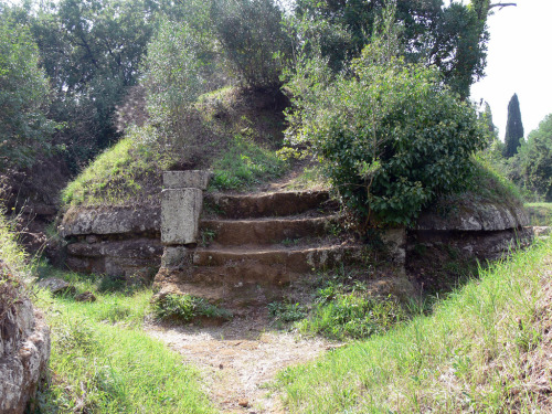 ancientart:The Etruscan Necropolis near Cerveteri, known as Banditaccia. Rome, Italy. An e