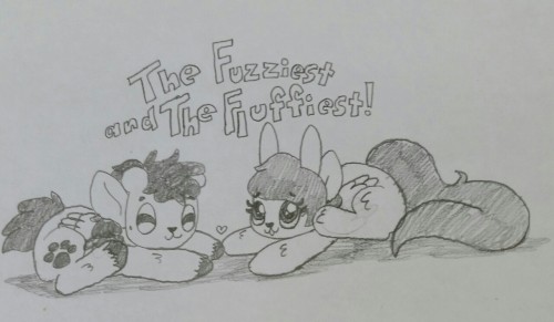 thebunnyandbear:  No one compares to the adorable fluffy/fuzziness of the Bunny and Bear  <3
