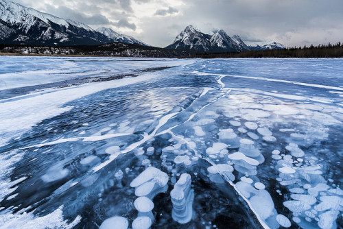 Lines, Shapes | Abraham Lake, Canadian Rockies by v on life on Flickr.