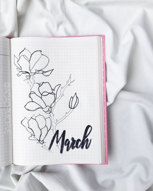 academiceve: 9.7.18 // 6 Months of Bullet Journal Cover Pages!✨It’s July, which means it is ti