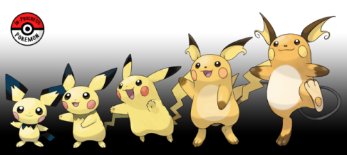 inprogresspokemon:#172.5 - Despite their small size, Pichu are charged with enough electricity to sh