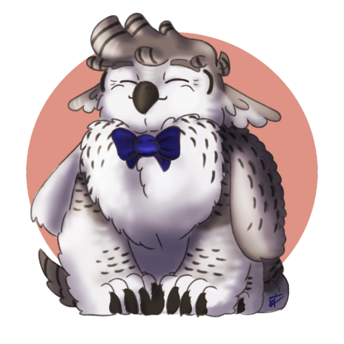 A Fluff Boy And A Handsome Owl.