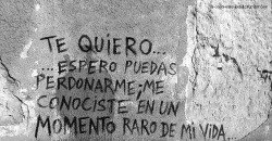 ochixo:  “Te quiero… Espero puedas perdonarme; me conociste en un momento raro de mi vida.”