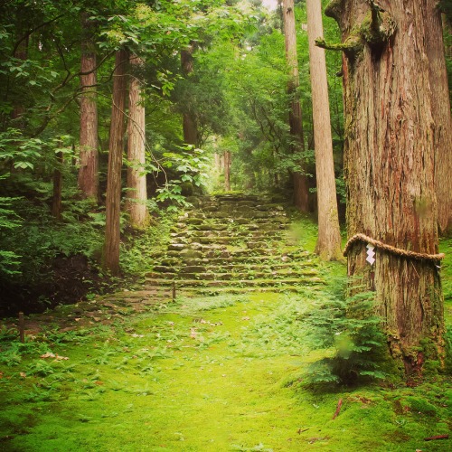 art-kyoto-jp:  No.432 at Heisenji Hakusan Shrine, Katsuyama City, Fukui, Japan