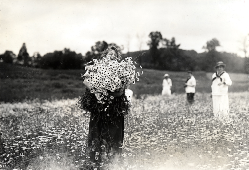 cemeterywind:Circa 1910s, a cheerful group of Vassar College students gather daisies for the annual 