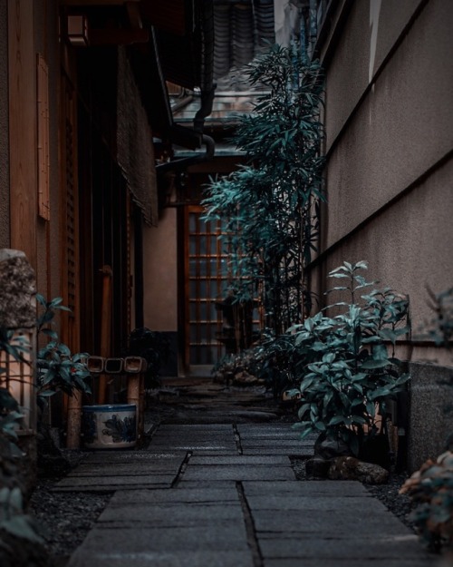tokyotuisku:Quiet welcome ( Kyoto )Instagram:https://www.instagram.com/tokyonieve/