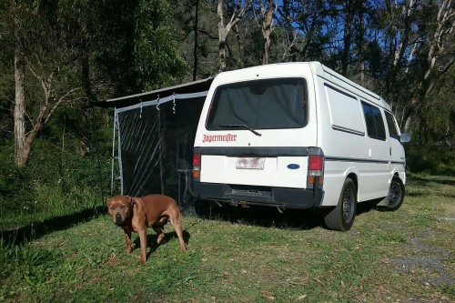 First camping trip with my beautiful new dog. Such great company and cuddles.Slightly different se