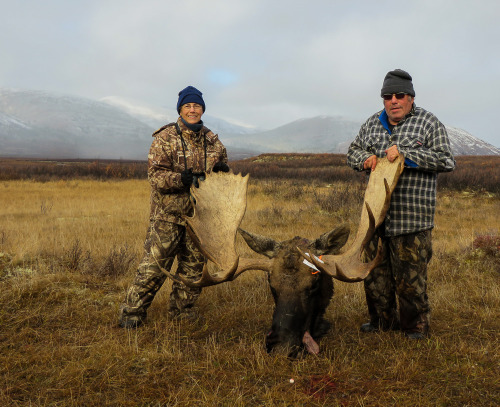 tigerskinsandotherthings:strangeasanjles:tigerskinsandotherthings:Moose Horns by Watson Lake // CC l