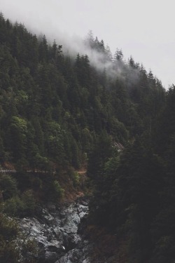 eartheld:  lastinq:  //nature//  mostly nature