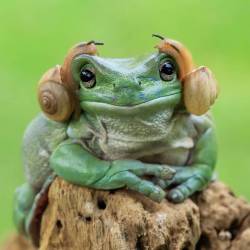 itsnotthatcompelling:  manhood:  She is giving us a LOOK  is this princess leia?