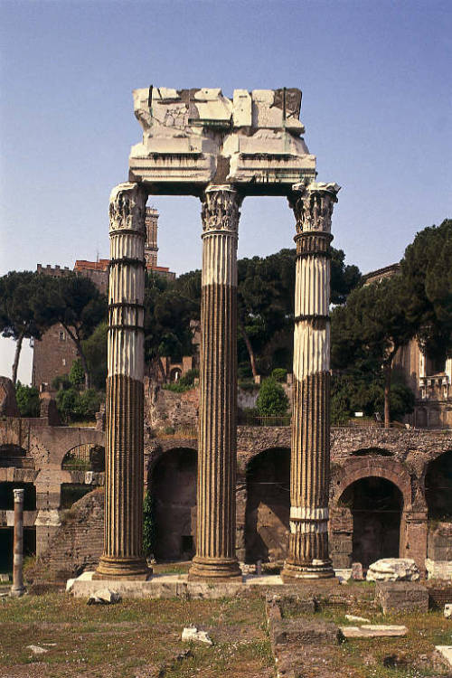 This is what is left of the Temple of Venus Genetrix, the goddess that was important to specifically