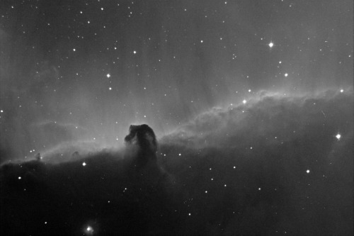 galaxyshmalaxy: IC434 Skywatcher/EQ6 (by Astrocatou)