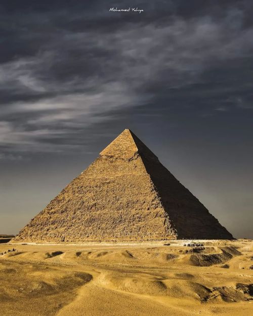 Man fears time - Time fears the pyramids @mohamed_yahya70 #iregipto #egyptpassion #mbplanet #history