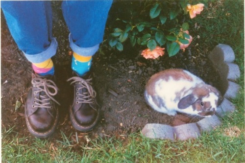 celestialyouth:some photos i got developed but never posted
