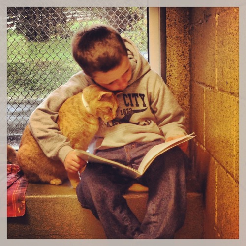 putyouinabettermood:My local rescue has a program called Book Buddies where kids read to sheltered c
