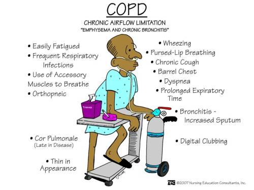 nursingnerds:COPD: A progressive, nonreversible disruption of airflow caused by chronic bronc