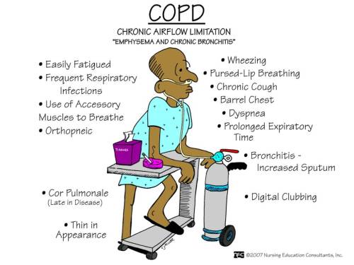 nursingnerds:  COPD: A progressive, nonreversible disruption of airflow caused by chronic bronc
