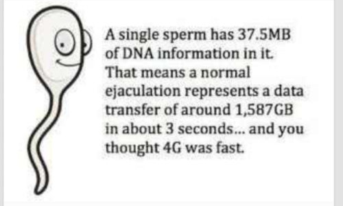 nursingfinds:  Sperm Facts