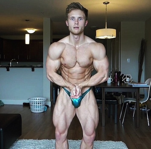 builddudebuild:  Jeff Nippard