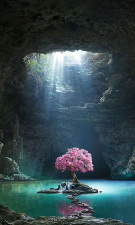 Pink tree, blossom, cave, lake, nature, 480x800 wallpaper @wallpapersmug : http://bit.ly/2EBfd6v - h