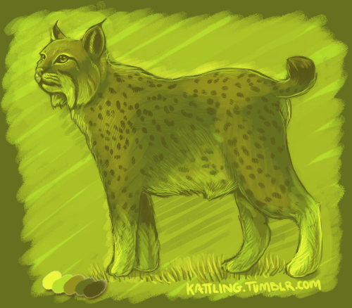 I can’t get enough of this colourpod sparkle animal challenge thing. Lynx vs… I think i
