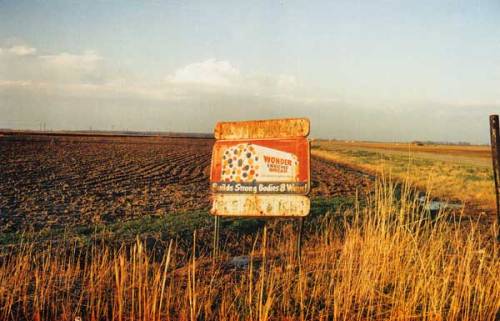  William Eggleston 