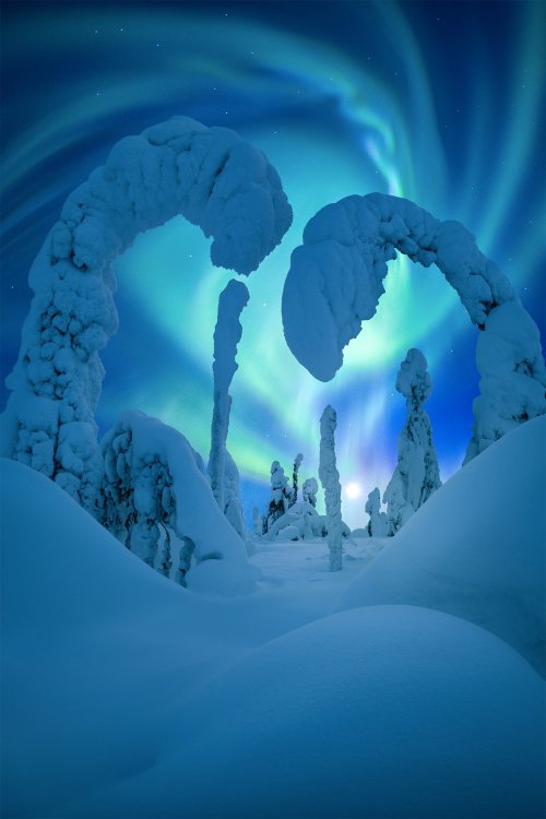 j-k-i-ng: “Arctic Circle” ❄️ by | Marlon HoldenDalton Highway, Alaska