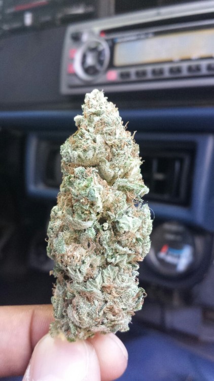Roll it up , Toke it up