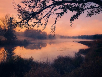 archae-heart-deactivated2021012:eerie morning glow over the misty lake 