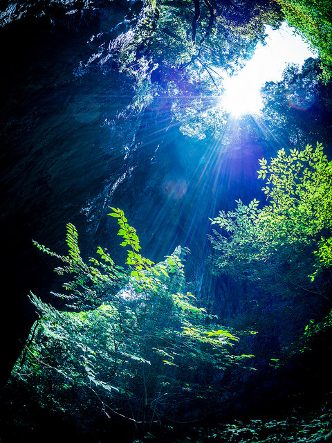 brutalgeneration:  PhoTones Works #2980 by PhoTones_TAKUMA on Flickr. 