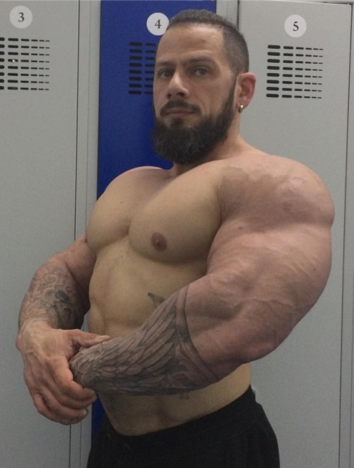 muscleryb:  Aleksei Bekker