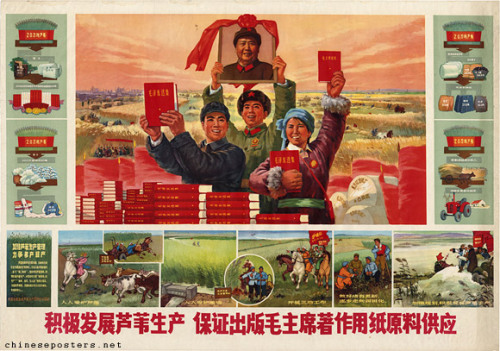 chineseposterart: 积极发展芦苇生产   保证出版毛主席著作用纸原料供应 Enthusiastically develop the production of re