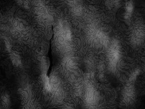 365filmsbyauroranocte:  Films watched in 2015.Film 181: Through a Glass Darkly (Ingmar Bergman, 1961)Nota: 9/10“I know I’ve been ill and that my illness was like a dream.”Turbadora e infinitamente dolorosa. Además toca un tema, el de la esquizofrenia,