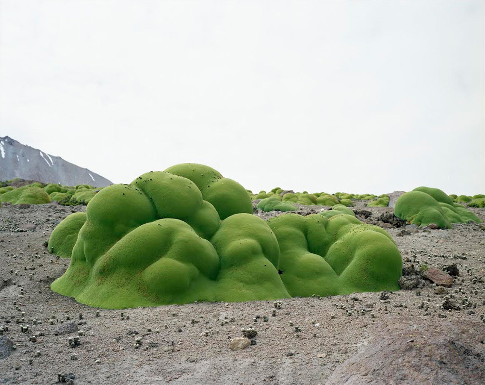 itscolossal:  For the last 10 years contemporary artist Rachel Sussman has researched,
