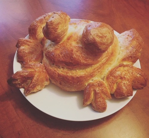 however-you-please:I have no explanation for what I’ve just done. Meet Nelson the Frog-Loaf.