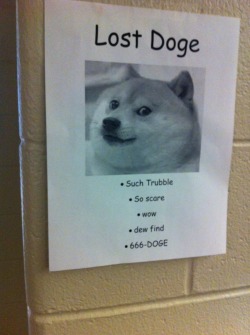 ishimaru-and-the-diamonds:  SO SOMEONE PUT A BUNCH OF THESE POSTERS AROUND MY SCHOOL ??????