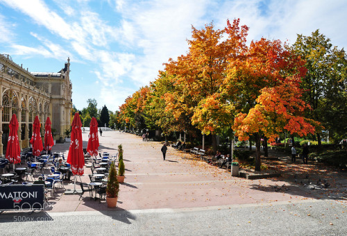 Beauty of autumn by dublev411 (nature)