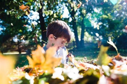 First Day of Fall Ya&rsquo;ll! #goplayintheleaves #crispair #newagain • • •⠀ #royaltyfree #nostalogi