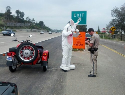 (via CHP gives Easter Bunny a break | UTSanDiego.com)