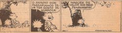 deposito-de-tirinhas:  Calvin e Hobbes  por Bill Watterson