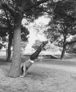 Construction of Space Relation - Tree/Man/Rope II, Keiji Uematsu, 1972.
His works are expressed in a variety of ways, including images (photographs, films, videos), performances (and their image recordings), prints, sculptures, and...