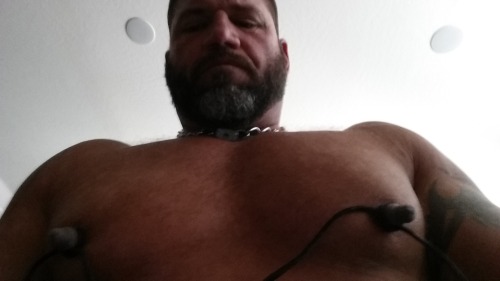 A follower submission
