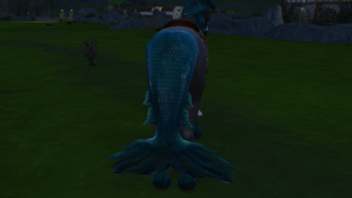 Horse Fish Tail