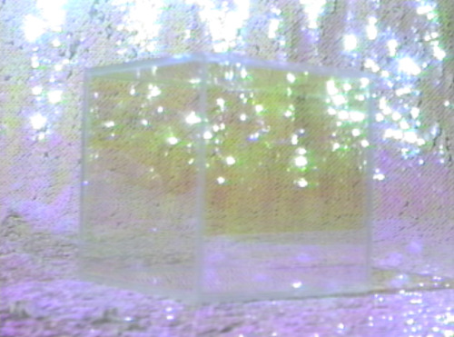 analogcinema: Erica Schreiner - video still (2021)