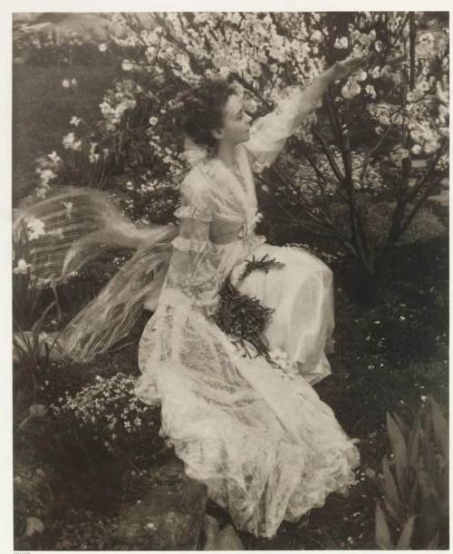 Lillian Gish by Edward Steichen Nudes &amp; Noises  