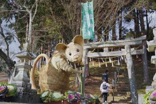 (吉田勇太 / ysdytさんのツイート: &ldquo;実家近くの神社の干支のしめ縄アートすごい。デフォルメ無しの細かい作りも凄いしデザインがそもそも良い。歴代の作品写真が社に飾られてるのもジワる。